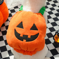 HKM-9994301 Festive Pumpkin Vest for Pets - Comfortable Cat and Dog Costume Harness for Halloween and Thanksgiving