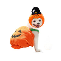 HKM-9994301 Festive Pumpkin Vest for Pets - Comfortable Cat and Dog Costume Harness for Halloween and Thanksgiving