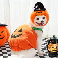HKM-9994301 Festive Pumpkin Vest for Pets - Comfortable Cat and Dog Costume Harness for Halloween and Thanksgiving