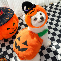 HKM-9994301 Festive Pumpkin Vest for Pets - Comfortable Cat and Dog Costume Harness for Halloween and Thanksgiving