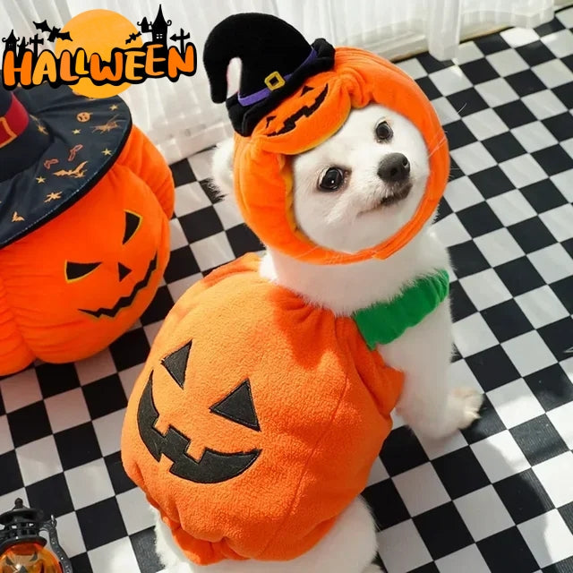 HKM-9994301 Festive Pumpkin Vest for Pets - Comfortable Cat and Dog Costume Harness for Halloween and Thanksgiving
