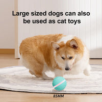 HKM-192467 Interactive USB Rechargeable TPU Pet Dog Chew Toy Ball