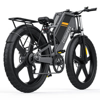 HKM-3527891 Adult: 750W Motor, 20 MPH Top Speed, 48V System and 48V 15.0Ah Battery Electric Bicycle for Daily Commuting