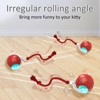 HKM-325843 Automatic Interactive Cat Toy Ball with Fast Rolling and Chirping for Indoor Play