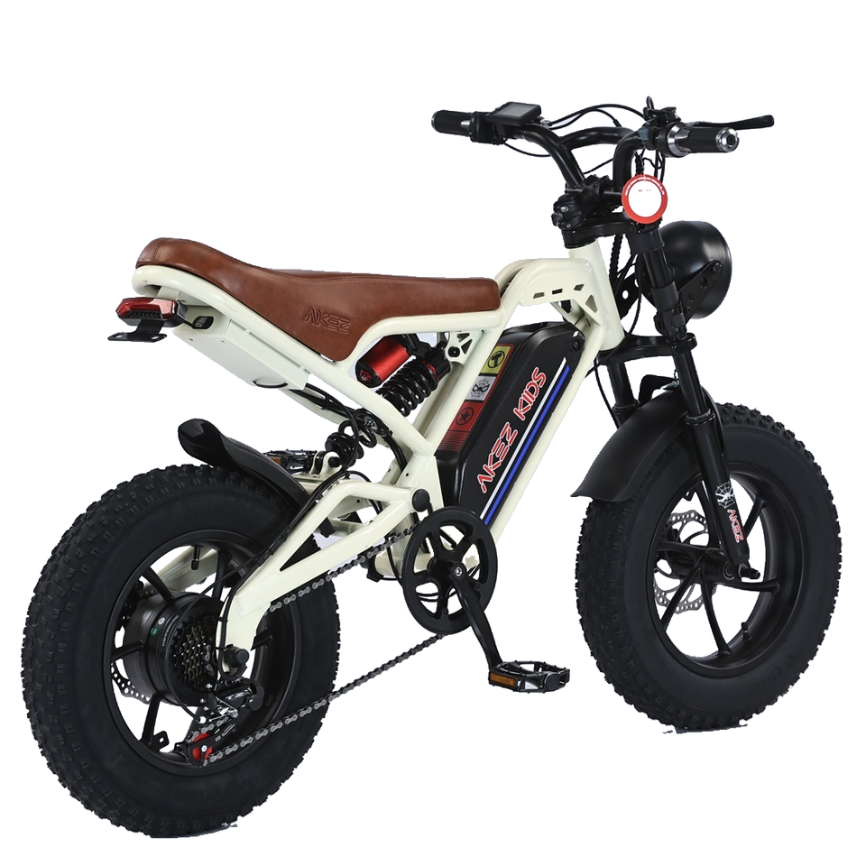 16 Inch Fat Tire Dirt Electric Bike Steel