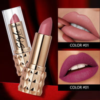 HKM-456723 Matte Rose Lipstick and Non-Stick Velvet Cup Lip Gloss Set - Vegan, Moisturising, Waterproof, MSDS Certified