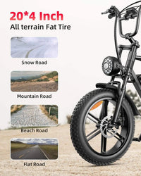 HKM-4052179 Adult Electric Bicycle Powered by 1000W Motor, 20 MPH Top Speed, 48V System and 48V 15.0Ah Battery for Daily Commuting