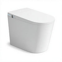 HKM-3263699 Smart Toilet Rimless One Piece Floor Mounted Siphonic Jet Flush White Ceramic Bidet Heated Seat With Remote Control