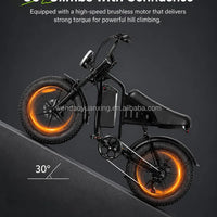 14 Inch Fat Tire Electric Bike 48V 500W Snow Beach Adult Ebike