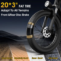 HKM-1201363 Adult Electric Bicycle Powered by 250W Motor, 20 MPH Top Speed, 48V System and 48V 15.6Ah Battery for Daily Commuting