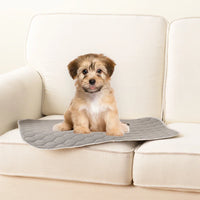 HKM-846675 Sustainable Washable Waterproof Puppy Training Pads with Non-Slip PU Backing