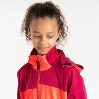 HKM-063571 High Quality Men's Double Panel Rain Windbreaker Jacket Spring Sports Hooded Waterproof Raincoat for Hiking on Sale