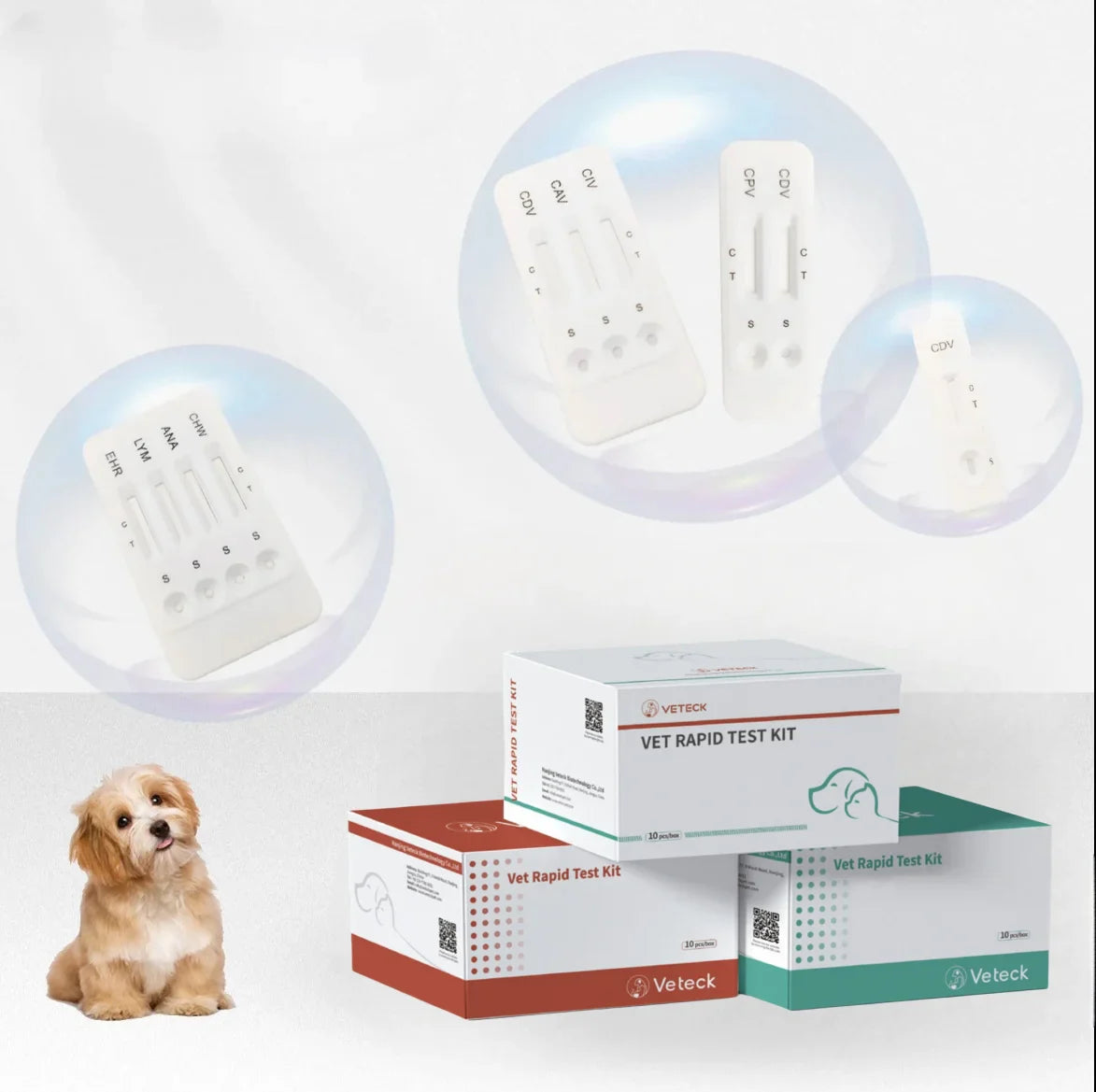 HKM-715603 Veterinary Diagnostic Kit for Rapid Testing of Ehrlichia, Anaplasma, and Babesia Canis in Dogs