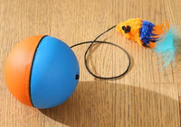HKM-273811 Interactive Rubber Dog Toy Ball for Engaging Outdoor Play