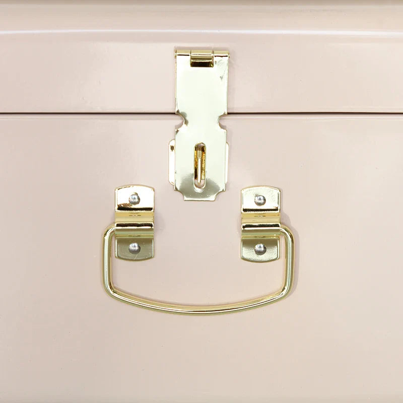 KTX-729491 Metal-Accented Storage Trunk Box for Organised Home Storage Solutions