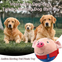 HKM-585683 Interactive Washable Squeaky Plush Dog Ball Toy with Sound and Motion