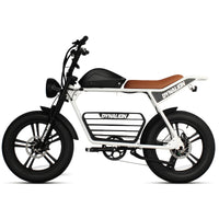 HKM-8448851 Adult Electric Bicycle Powered by 1000W Motor, 20 MPH Top Speed, 48V System and 48V 16.0Ah Battery for Daily Commuting