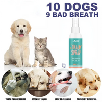 HKM-995667 Effective Dog Oral Cleaner Spray for Tartar Treatment and Fresh Breath