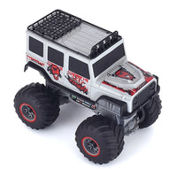 HKM-688595 High Speed 1/16 Scale 4WD Remote Control Monster Stunt Car, Speed 8km/h, Indoor-Outdoor Use
