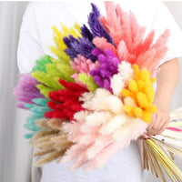 Wholesale Pampas Dried Natural Faux Tall Pampas Grass White for Wedding