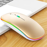 HKM-838675 2.4G Wireless Rechargeable Mouse with 1600 DPI and Backlit Features for Desktop and Laptop Use