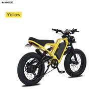 Akez New Energy EU USA Velo Electrique Electric Bicycle E Bike E-bike 500w 750w 1000w 1500w Fatbike Fat Bike Ebike