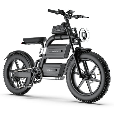 RONZLLA E20 Plus 60V Electric Bike for Adults with Dual 40Ah Battery, 93 Miles Long Range All-Terrain Commuter