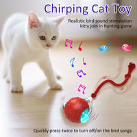 HKM-489683 Interactive Fast-Rolling Cat Toy Ball with Motion Activation and Chirping Sounds for Indoor Cats