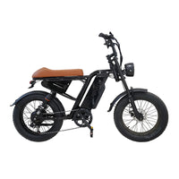 HKM-7558355 Adult: 750W Motor, 20 MPH Top Speed, 48V System and 48V 13.0Ah Battery Electric Bicycle for Daily Commuting