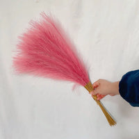 55CM Fluffy Pampas Grass Simulation Reed Hair Simulation Wedding Party Minimalist Home Decoration Artificial Flowers 1pcs