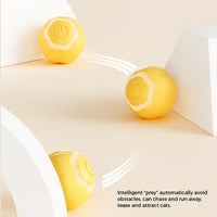 HKM-276115 Automatic Electric Rolling Cat Toy Ball for Engaging Playtime and Exercise