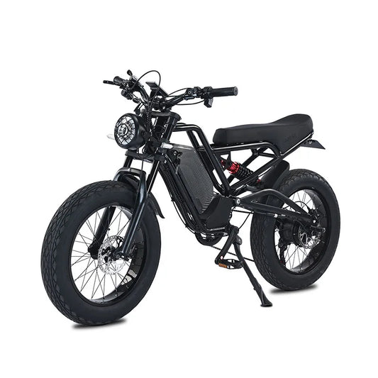 Akez New Energy EU USA Velo Electrique Electric Bicycle E Bike E-bike 500w 750w 1000w 1500w Fatbike Fat Bike Ebike