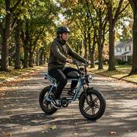 HKM-8448851 Electric Bike 1000W Motor 48V 16Ah Battery 34 Mile Range 20-Inch Fat Tires Hydraulic Brakes 7-Speed Foldable