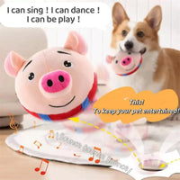 HKM-585683 Interactive Washable Squeaky Plush Dog Ball Toy with Sound and Motion