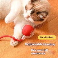 HKM-455763 Interactive Electric Cat Toy Ball with Speedy Tail Movement for Engaging Playtime