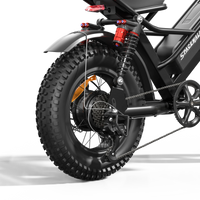 HKM-9432019 Adult Electric Bicycle Powered by 750W Motor, 20 MPH Top Speed, 48V System and 48V 15.0Ah Battery for Daily Commuting