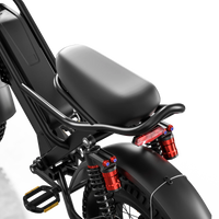 HKM-9432019 Adult Electric Bicycle Powered by 750W Motor, 20 MPH Top Speed, 48V System and 48V 15.0Ah Battery for Daily Commuting