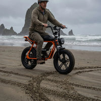 HKM-8448851 Adult Electric Bicycle Powered by 1000W Motor, 20 MPH Top Speed, 48V System and 48V 16.0Ah Battery for Daily Commuting