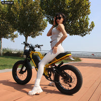 Akez New Energy EU USA Velo Electrique Electric Bicycle E Bike E-bike 500w 750w 1000w 1500w Fatbike Fat Bike Ebike