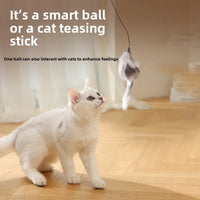 HKM-293075 Automatic Rolling Electric Cat Toy – Interactive Self-Entertainment, Bite-Resistant Design