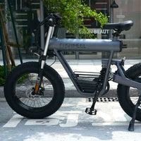 Hot High Quality E Bike China Manufacturer Customized 10Ah/20Ah Electric Bike 48V 250W/500W/1000W Electric Bicycle Mountain Bike