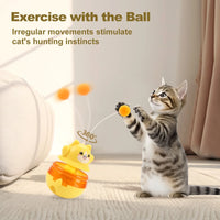 HKM-800403 Eco-Friendly Interactive Cat Toy Teaser Wand and Tumbler for Boredom Relief