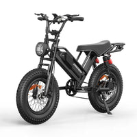 HKM-9595731 Adult: 750W Motor, 20 MPH Top Speed, 48V System and 48V 15.0Ah Battery Electric Bicycle for Daily Commuting