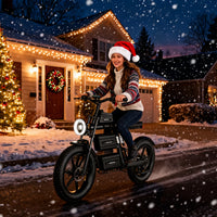 RONZLLA E20 Plus 60V Electric Bike for Adults with Dual 40Ah Battery, 93 Miles Long Range All-Terrain Commuter