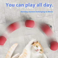 HKM-455763 Interactive Electric Cat Toy Ball with Speedy Tail Movement for Engaging Playtime