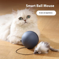 HKM-293075 Automatic Rolling Electric Cat Toy – Interactive Self-Entertainment, Bite-Resistant Design