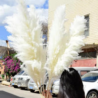 Wholesale Pampas Dried Natural Faux Tall Pampas Grass White for Wedding