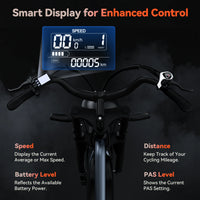 HKM-7680723 Off-Road Fat Tire Electric Bike with LCD Display, 750W Motor, 48V 17Ah Battery, 20 x 4 in Tires, 31 mi Range
