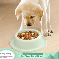 HKM-488531 Rounded Anti-Choking Slow Food Bowl for Cats and Dogs - Plastic Feeding Bowl with Box Packing