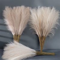 55CM Fluffy Pampas Grass Simulation Reed Hair Simulation Wedding Party Minimalist Home Decoration Artificial Flowers 1pcs
